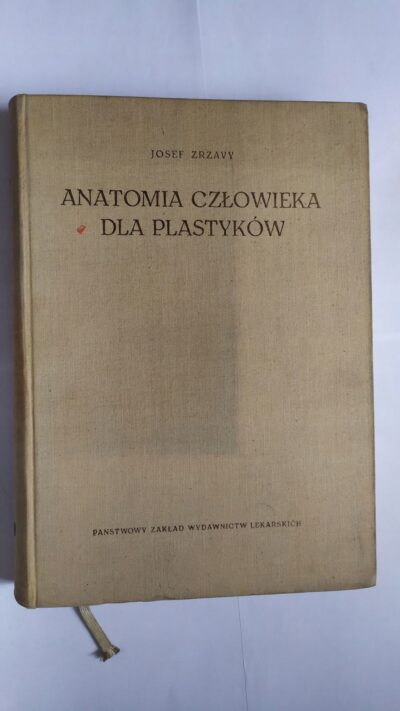 Anatomia Człowieka Dla Plastyków