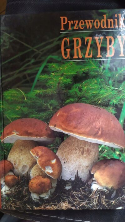 Grzyby - przewodnik