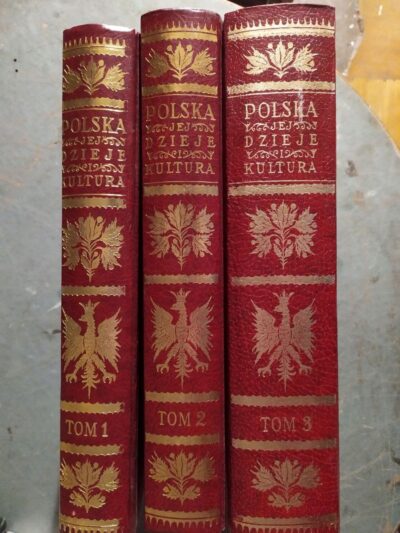 Polska jej dzieje i kultura od czasów najdawniejszych do chwili obecnej tom 1-3